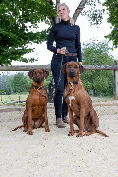 Frau in schwarzem Oberteil steht zwischen zwei sitzenden Rhodesian Ridgebacks.