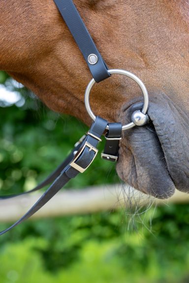 Close-up von einem Pferdezügel mit Trensenring im Pferdemaul